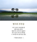 [최광임 시인이 읽어주는 디카시] 둥글게 익어가는 일