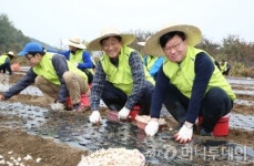 NH투자證 임직원 40명 농촌 일손 돕기 나서