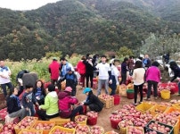 대구사이버대, 전 구성원 함께 뜻깊은 봉사활동