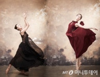 국악 연주도, 염색도 무용이 된다…경계 사라진 몸짓의 확장