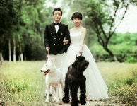 우리집 겸둥이들 15마리