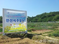 안산시, 도심 주말농장 분양
