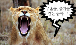 욕으로 쓰이는 염병, 원래는 무슨 뜻?
