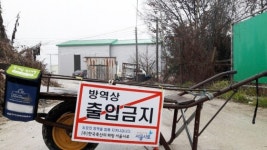 전북 고창 육용오리 농장서 AI 바이러스 검출
