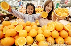 [사진]롯데마트, 美 오렌지 9900원 판매