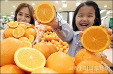 [사진]롯데마트, 美 오렌지 9900원 판매