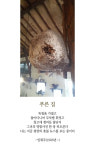 [최광임 시인이 읽어주는 디카시] 보았는가