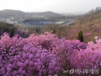 꽃길만 걷자…벚꽃·진달래 꽃망울 터지는 봄 둘레길