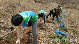 한솔제지, 전북 진안서 잣나무 1000그루 심어…식목일 행사