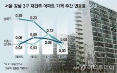 환수제 부활 우려, 숨죽인 강남아파트 