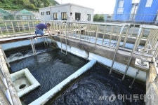 지자체 새는 물 32.4%…상수도 현대화로 501억원 절감