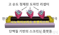 나노튜브 기반 新 바이오 전자센서 개발