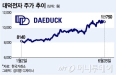 자사주 부자 대덕전자, 외국인 러브콜에 고고