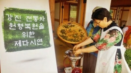목포대, 강진 전통차 제다시연회 개최