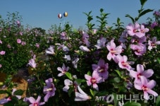 수원시, 4~6일 만석공원에서 나라꽃 무궁화 축제