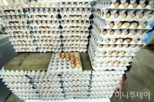 살충제 계란, 유독 친환경 농가서 많이 발생한 이유는