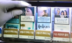 가향담배, 일반담배보다 흡연자 확률 1.4배↑