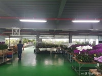 [르포]국내유일 화훼특구 매출 1/3로 시들어