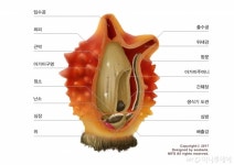 국립수산과학원, 우리나라 주요 수산양식생물 해부도감 발간