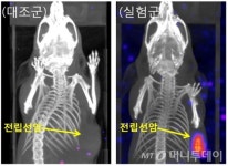 원자력硏, 듀켐바이오에 전립선 암세포 추적·치료용 화합물 제조기술 이전