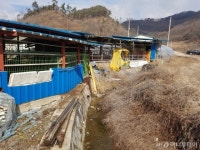 무허가 축사 특별법 제정 축산인 1만명 뭉친다 