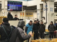 활어가 펄떡 삶도 팔딱…새벽 수산시장 가보니