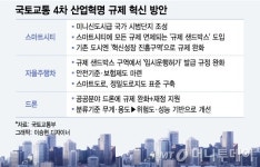 규제에서 자유로운 스마트시티 시범도시 조성