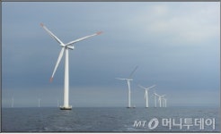 완도군, 금일해상풍력 타당성 용역 설명회 개최