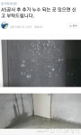 마곡 대방디엠시티 소유자 분통 임차인 모집 골든타임 놓쳤다