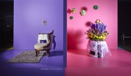 노루페인트, 인생사진관2 콜라보 참가