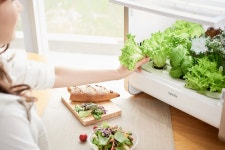 교원, 채소재배기 사업 재개…선점 효과 노린다