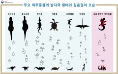 반구대 암각화 주변서 네발 척추동물 발자국 화석발견