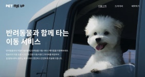 반려동물과 함께 타는 택시…이동걱정 그만