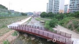 용인시, 탄천 상류 도심하천 생태복원사업 8년만에 준공