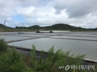 신안군, 태풍 ‘솔릭’ 큰 피해없이 농작물 해갈