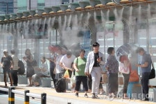 폭염 늘어나는 서울,  종합적 열환경 개선 체계 필요