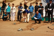 거북아 바다로 돌아가 아쿠아플라넷 여수, 방류행사
