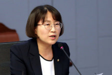 추혜선, 더불어민주당, 인터넷은행법에 비토권 행사하라