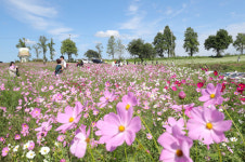 [내일 날씨]쾌청한 가을 날씨…서울 낮 24도