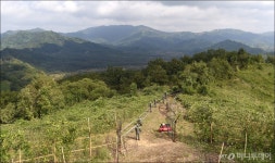 [사진]비무장지대 지뢰 제거 작업 실시