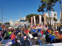 [MT리포트]돈 된다 너도나도 뛰어든 저비용항공 시장 과열