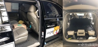 [개人주의]잘 데려다주시개!…펫택시 타보니