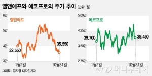 전기차 수혜株 엘앤에프 vs 에코프로