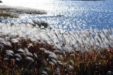 [오늘 날씨]전국 맑고 쌀쌀…일교차 15도 안팎
