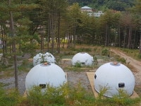 친환경 ‘에코돔하우스’, 캠핑장 및 글램핑장 텐트 대용 활용성 증가