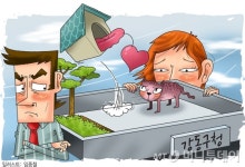 [르포]길냥이 쉼터 가봤더니…불안한 셋방살이[개人주의]