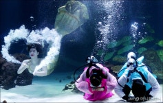 [사진]아쿠아플라넷63, 설에 한복 입고 놀러 오세요!