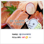 [바다정보다잇다]전문점 갈 필요 없다? 냉동참치 해동법