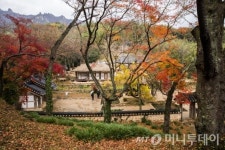 다산 묵던 강진 ‘백운동 원림’ 어떤 아름다움이 있길래? 