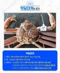 [바다정보다잇다]박달대게 표시의 기준과 조건